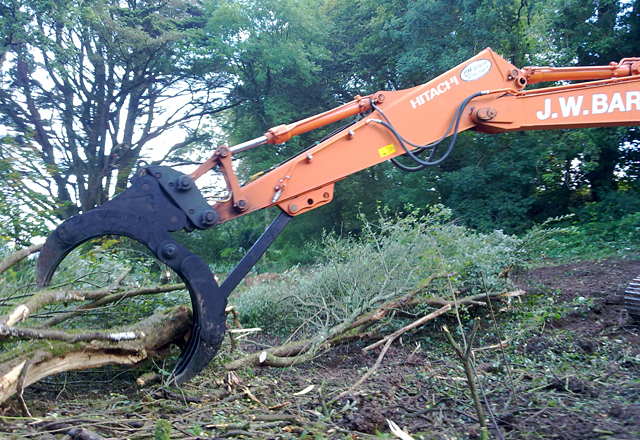 Forest and shrub clearance in Devon Forests