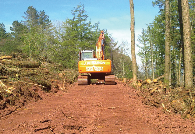 Forest road created after clearing scrub and trees