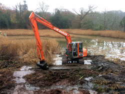 Weed clearance from a large pond in Ashprington, near Dartmoor 