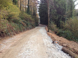 Forest road constructed in the South West